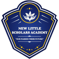 New Little Scholars Academy Ap