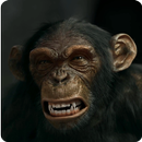 Evil Monkey 3D Live Wallpaper APK
