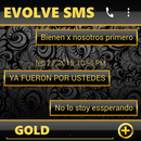 THEME FOR EVOLVESMS GOLD  BLK APK
