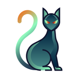 BlackCat VPN أيقونة