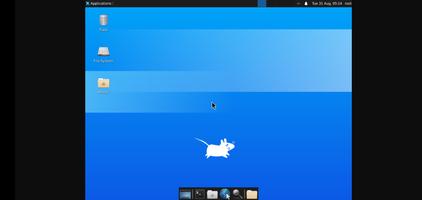 AnLinux screenshot 2