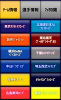 プロ野球 選手名 クロスワード 番外編 الملصق