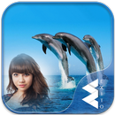 Dolphin Photo Frames-APK