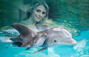 Dolphin Photo Frames تصوير الشاشة 1