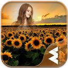 Sunflower Photo Frames icon