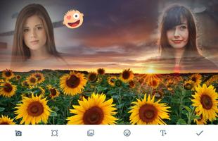 Sunflower Photo Frames постер