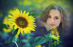 Sunflower Photo Frames скриншот 1