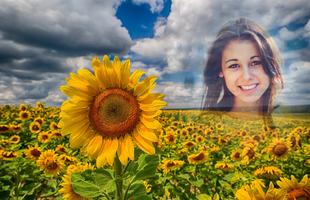 Sunflower Photo Frames скриншот 3