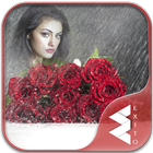 Rain Rose Photo Frames أيقونة