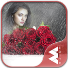 Rain Rose Photo Frames icono