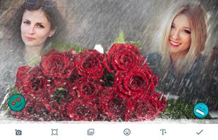 Rain Rose Photo Frames Affiche