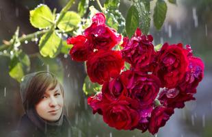 Rain Rose Photo Frames تصوير الشاشة 1