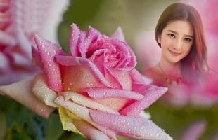 Rain Rose Photo Frames 截图 3