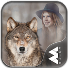 Wolf Photo Frames icon