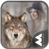 Wolf Photo Frames أيقونة