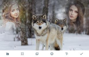 Wolf Photo Frames الملصق