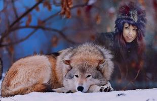 Wolf Photo Frames скриншот 2