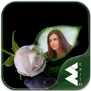 White Rose Photo Frames APK