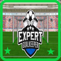 Expert Goalkeeper Game