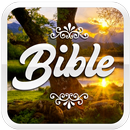 APK Expositor's Bible Commentary