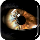 Eye of the Wolf Live Wallpaper APK