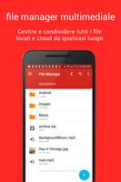 Poster Gestione File (File Manager)