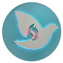 Puerta Del Cielo FM APK