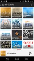 2 Schermata RADIO EGYPT PRO