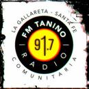 FM Tanino APK