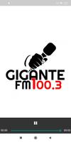 FM Gigante 100.3 Villa Berthet скриншот 1