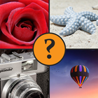 4 Pics 1 Word - Quiz "what is it" words game icône