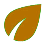 4 Satta 4 Jodi - King of Satta