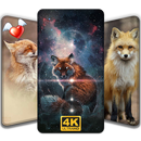 Fox Wallpaper - Babe Fox, Nature Ringtone Free APK