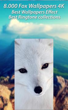 Fox Wallpaper Babe Fox Nature Ringtone Free For Android