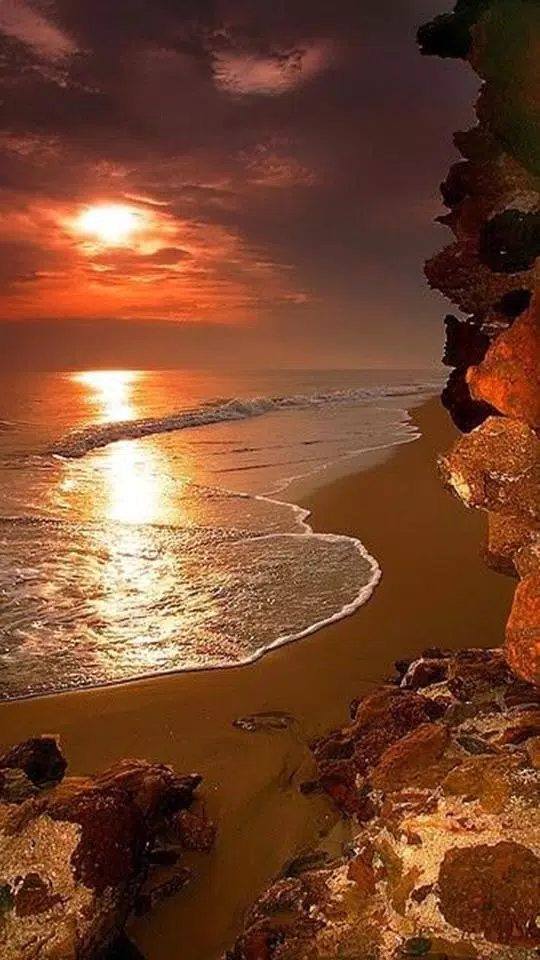 Fondo Pantalla Atardeceres APK pour Android Télécharger Fondo Pantalla Atardeceres APK pour Android Télécharger