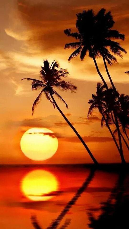 Fondo Pantalla Atardeceres APK für Android herunterladen Fondo Pantalla Atardeceres APK für Android herunterladen