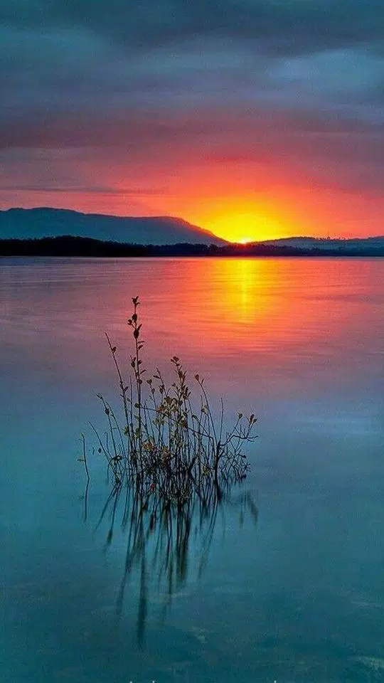 Fondo Pantalla Atardeceres APK pour Android Télécharger Fondo Pantalla Atardeceres APK pour Android Télécharger