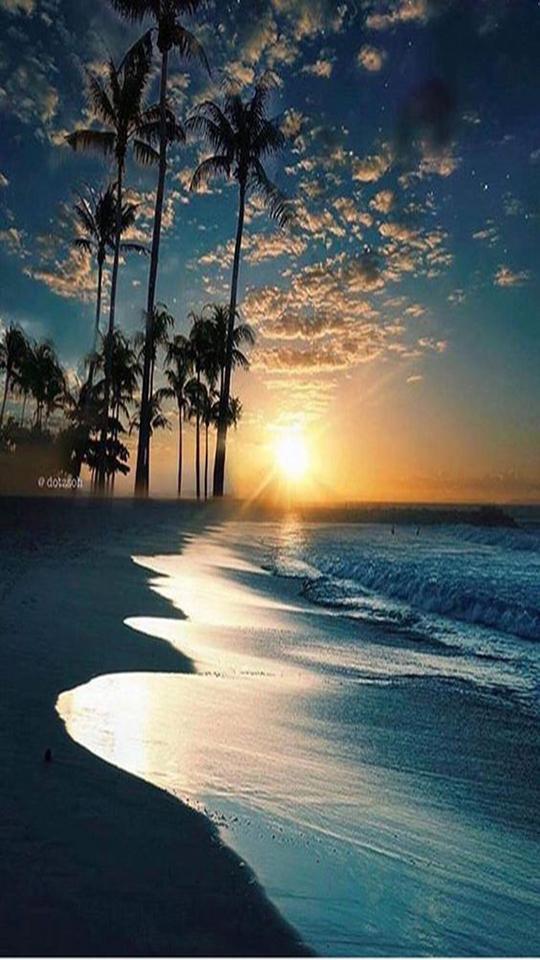 Tải xuống APK Fondo Pantalla Atardeceres cho Android Tải xuống APK Fondo Pantalla Atardeceres cho Android