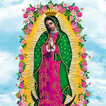 Fondos Virgen de Guadalupe icon