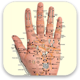 Acupressure biểu tượng