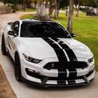 Ford Mustang Wallpaper 圖標