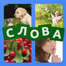 4 фото 1 слово на русском ч.2 APK