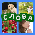4 фото 1 слово на русском ч.2