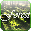 Forest Live Wallpaper
