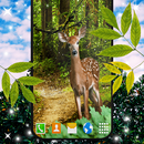 Forest Live Wallpaper APK