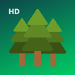 Forest Wallpapers HD иконка