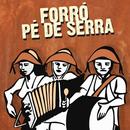 RÁDIO FORRÓ PÉ DE SERRA - FORRÓ RAIZ aplikacja