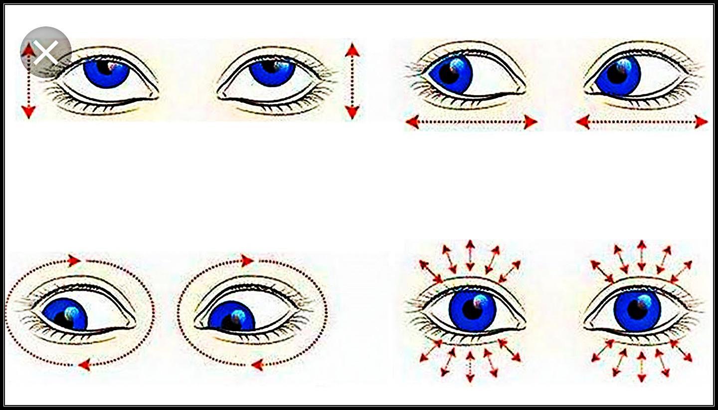 Аж глаза есть. Гимнастика для глаз при миопии у детей. Корригирующая гимнастика для глаз. Гимнастика для глаз комплекс упражнений. Гимнастика для глаз для улучшения зрения комплекс упражнений.