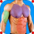 Gym guider - Fitness & Gym Workouts APK