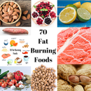 FAT BURNING FOODS - 70 OFF THE BEST APK